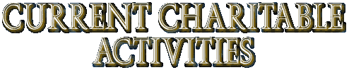 Charitable Activity Title